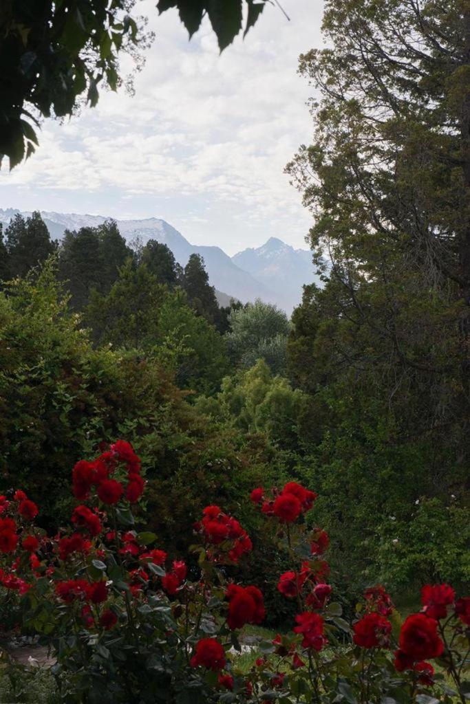 Alpina * San Carlos de Bariloche